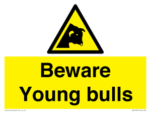 Beware Young bulls